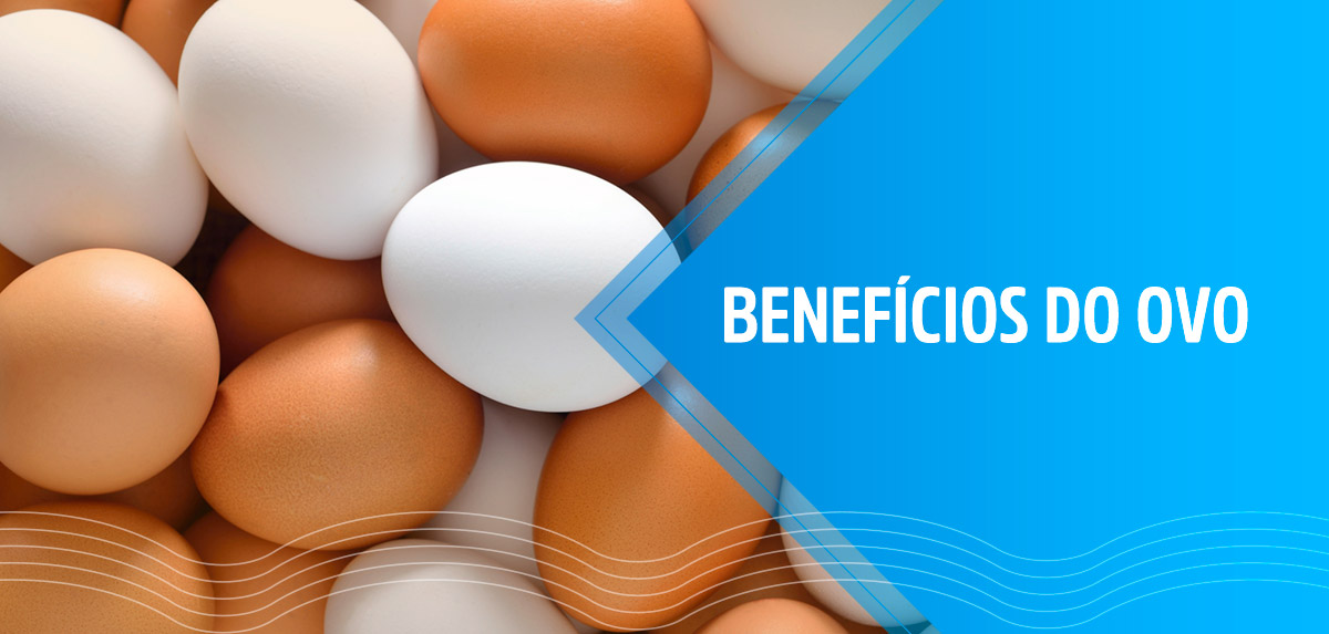 You are currently viewing Ovos: 10 benefícios para a saúde e informações nutricionais